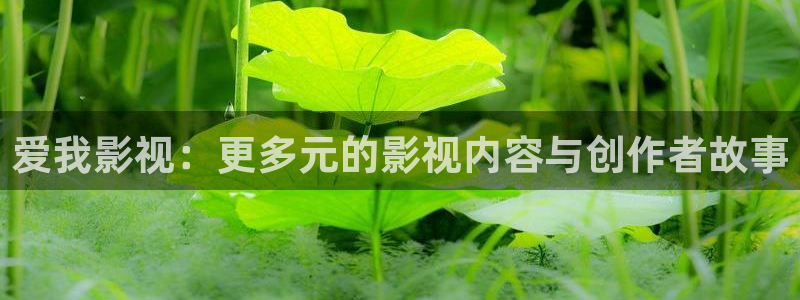 奇优影院&amp：爱我影视：更多元的影视内容与创作者故事