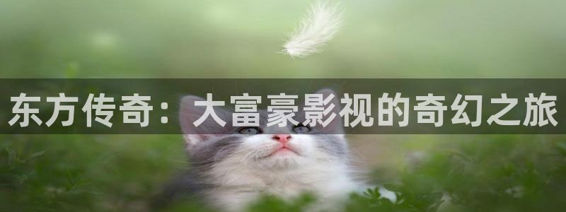 奇优影院在线免费观看电视剧