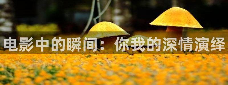 奇优影院电视剧第三页：电影中的瞬间：你我的深情演绎